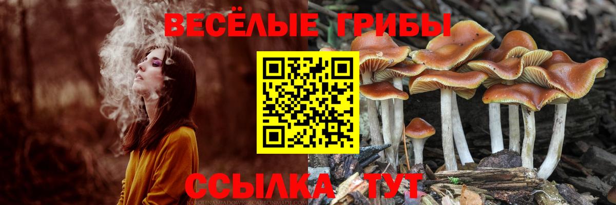 Десногорск  Галлюциногенные грибы прущие грибы  Псилоцибиновые грибы Psilocybine cubensis  Вход с VPN 